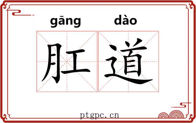 肛道