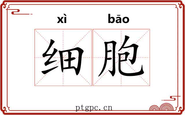 细胞 细胞