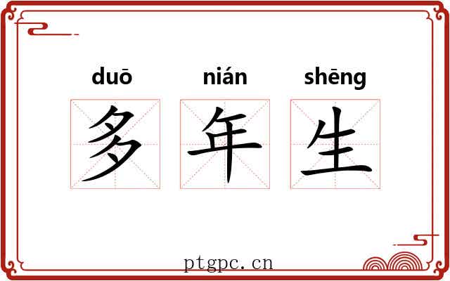 多年生