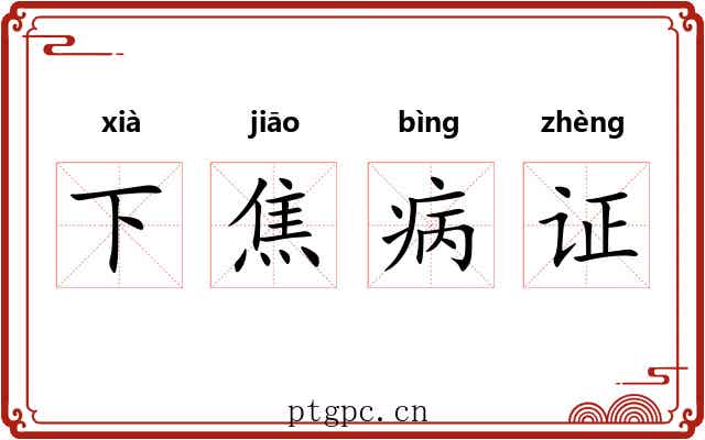 下焦病证 下焦病证