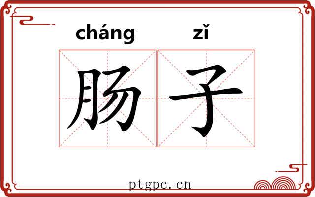 肠子 肠子
