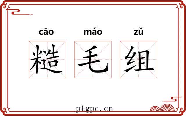 糙毛组