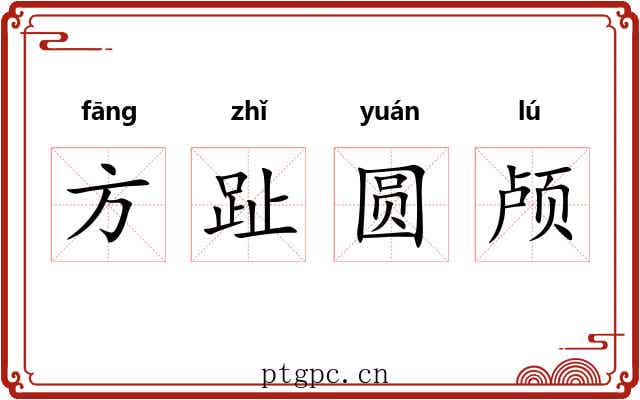方趾圆颅 方趾圆颅