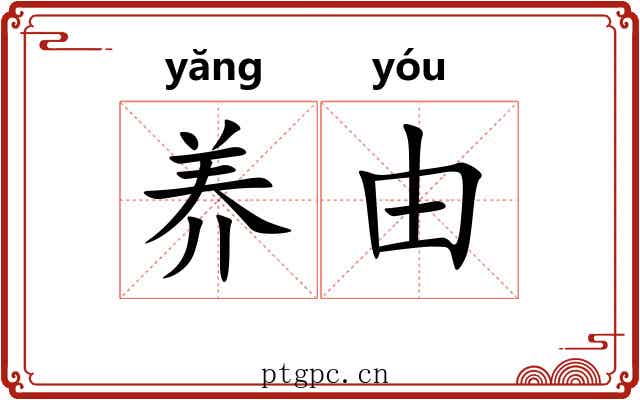 养由