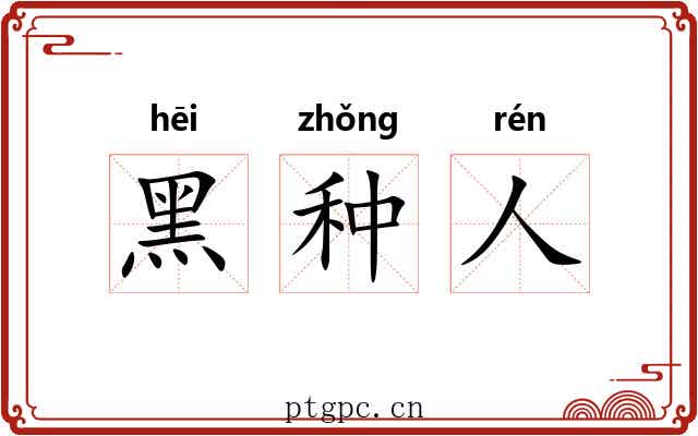黑种人 黑种人