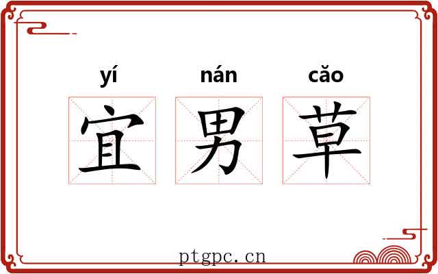 宜男草 宜男草