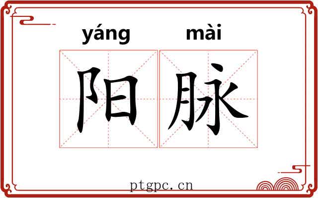 阳脉 阳脉