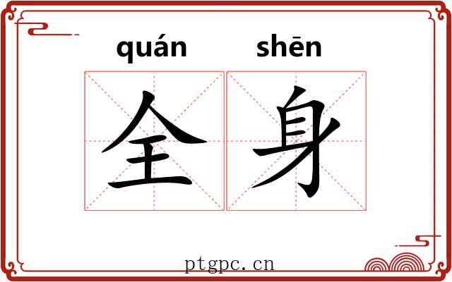 全身 全身
