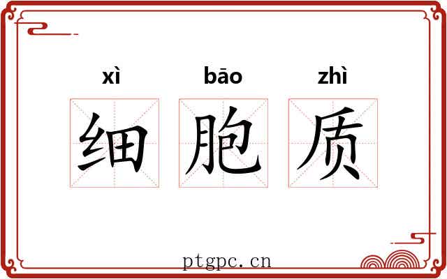 细胞质
