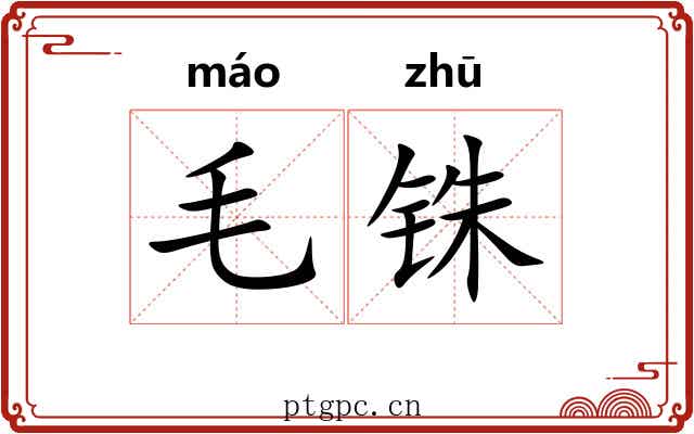 毛铢 毛铢