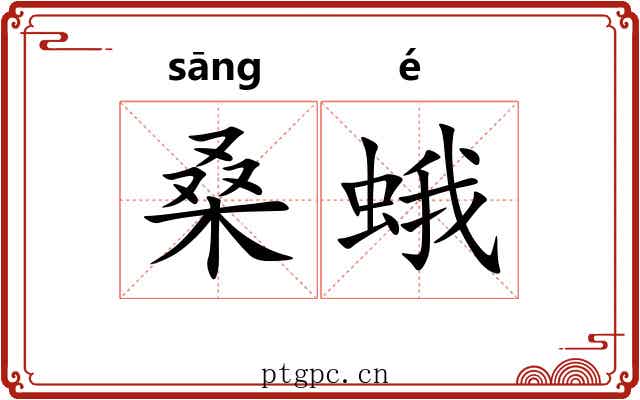桑蛾