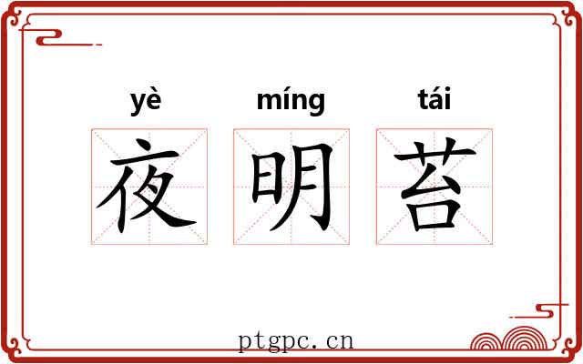 夜明苔 夜明苔