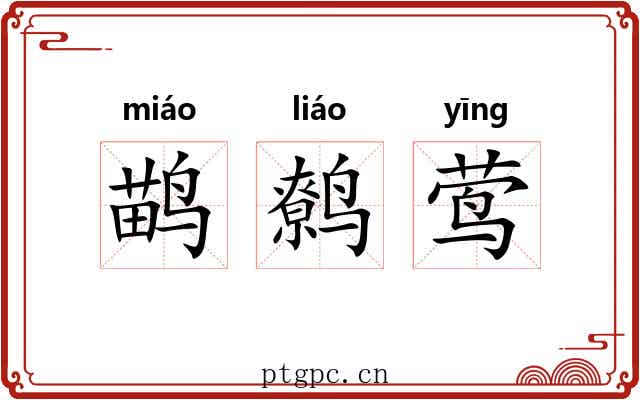 鹋鹩莺