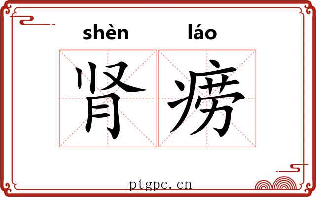 肾痨