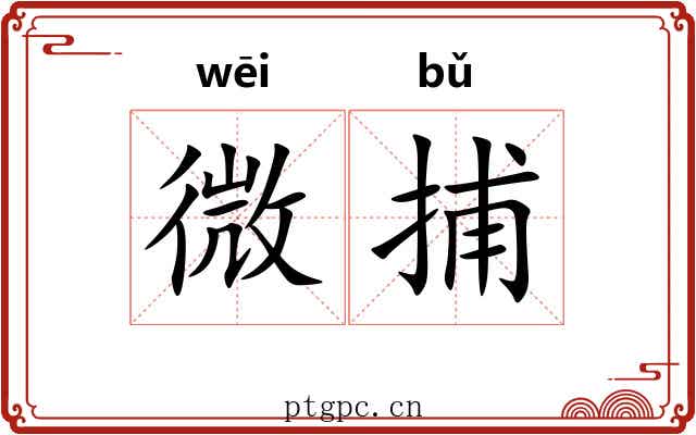 微捕 微捕