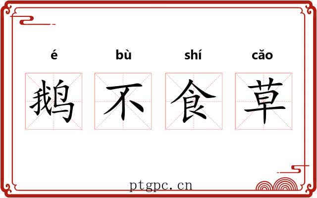 鹅不食草 鹅不食草