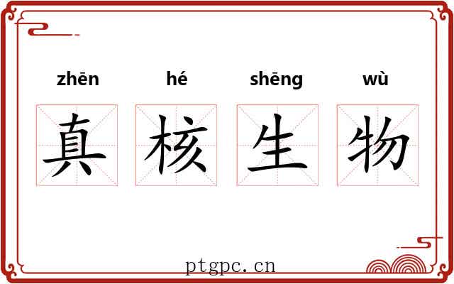 真核生物 真核生物