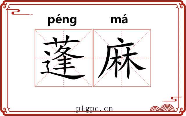 蓬麻 蓬麻