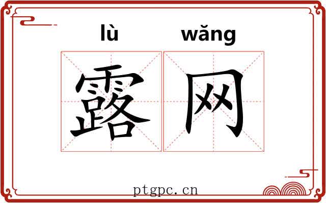 露网 露网