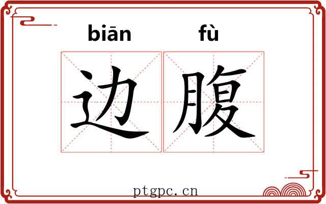 边腹 边腹