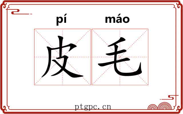 皮毛 皮毛