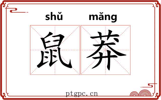鼠莽