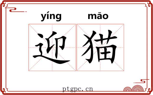迎猫