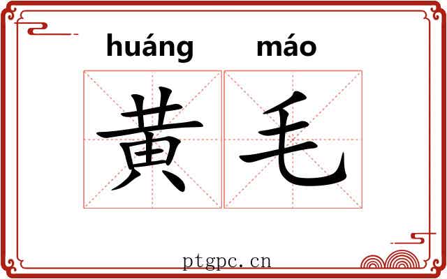 黄毛 黄毛