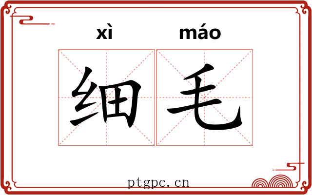 细毛 细毛