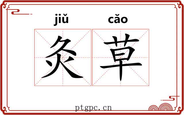 灸草 灸草