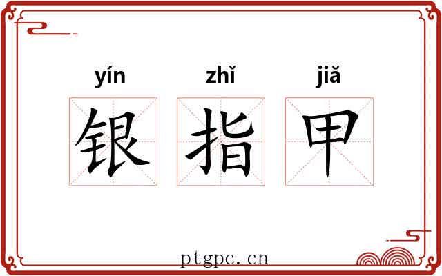 银指甲 银指甲