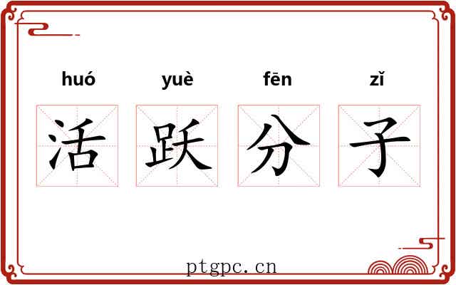 活跃分子 活跃分子