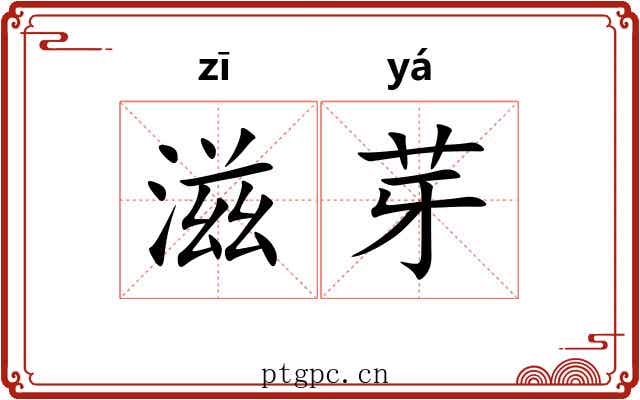 滋芽