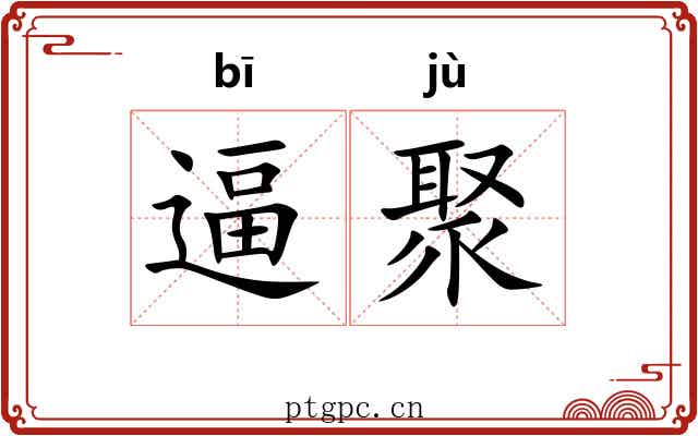 逼聚
