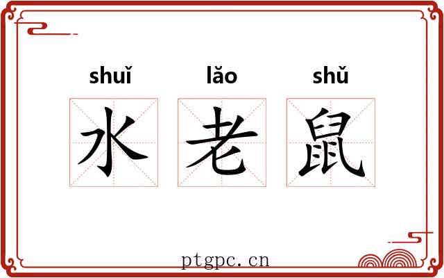 水老鼠 水老鼠