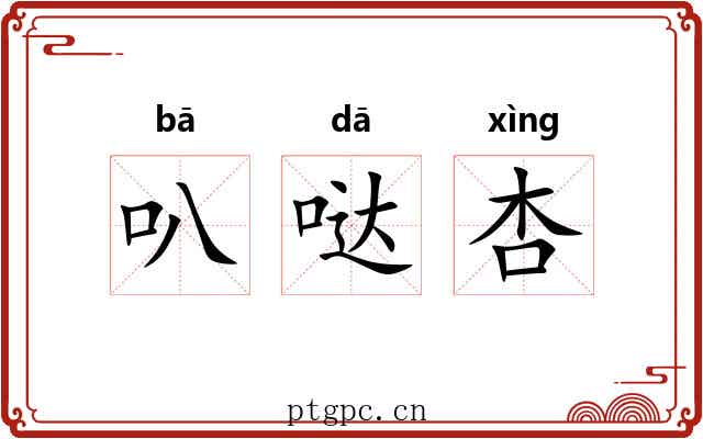 叭哒杏