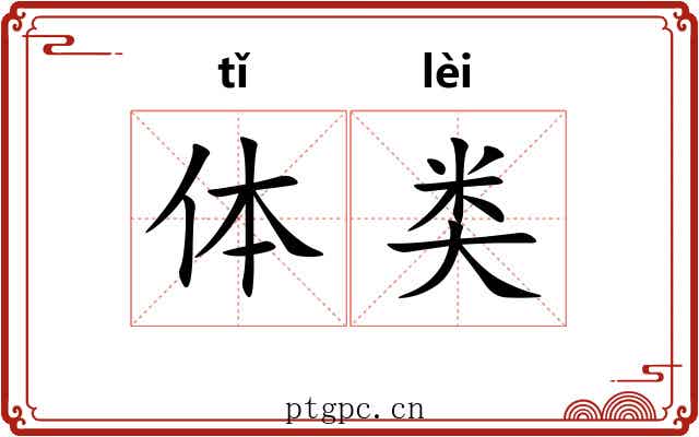 体类 体类