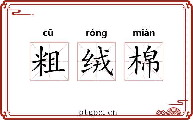 粗绒棉 粗绒棉