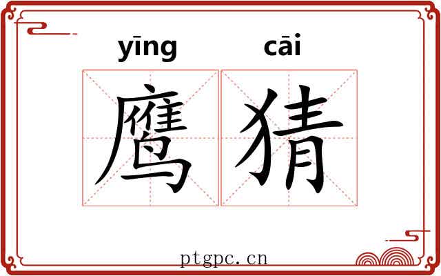 鹰猜
