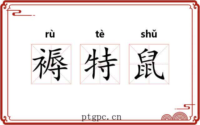 褥特鼠