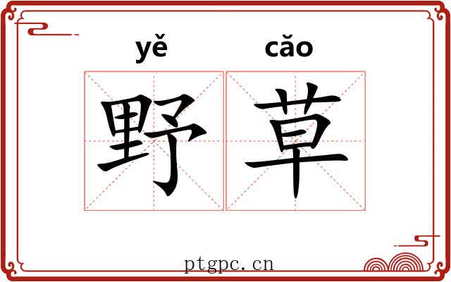 野草