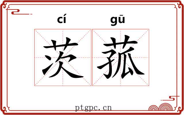 茨菰