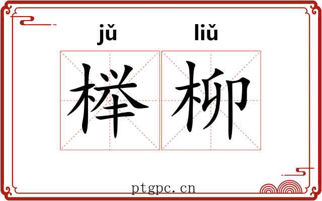 榉柳