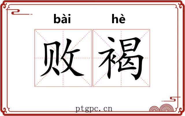 败褐 败褐
