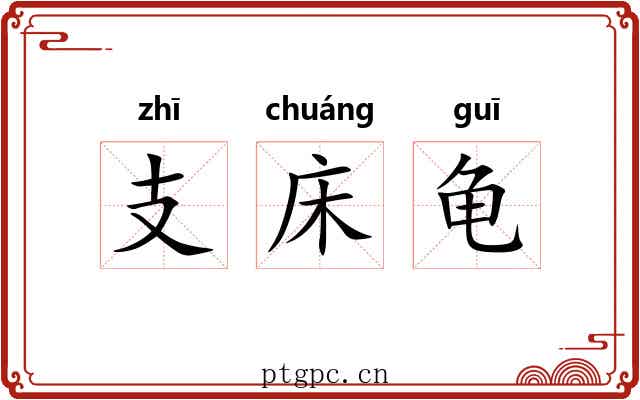 支床龟 支床龟