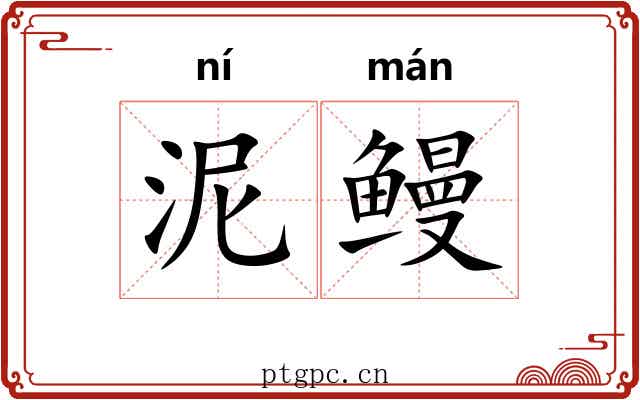 泥鳗