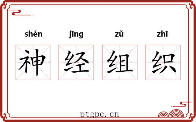 神经组织