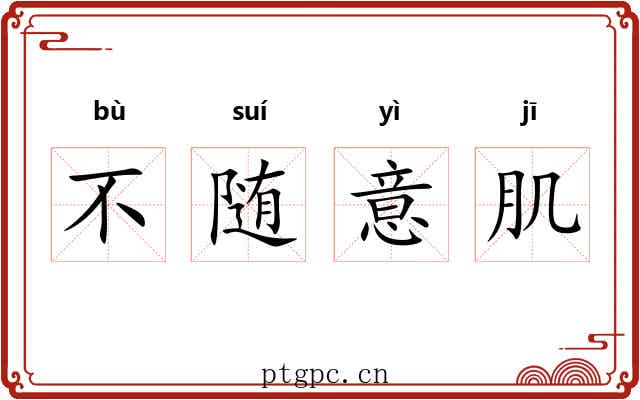 不随意肌 不随意肌