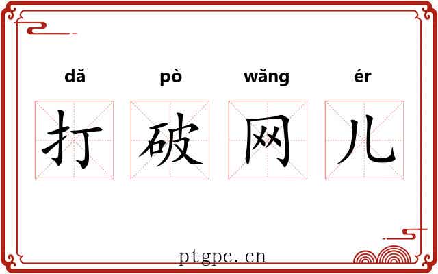 打破网儿
