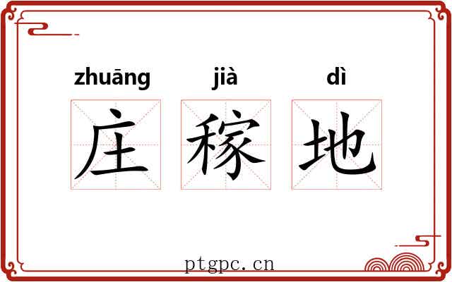 庄稼地